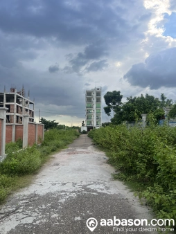 Image 6