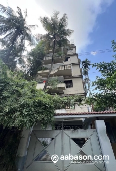  3 Bedroom Flat for rent in  Dhanmondi