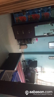  Single Room  rent in   Mirpur 06