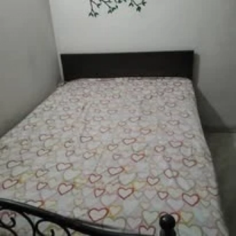  Girls Hostel  rent in Road 15  Dhanmondi