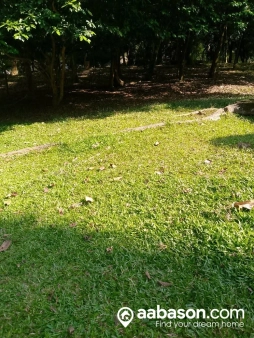  Residential Plot for sale in  Lakshmipur Sadar