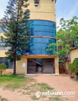 Image 4
